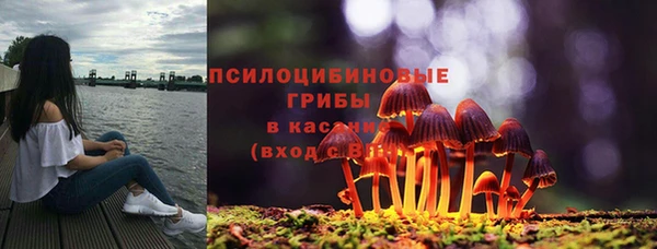 сатива Нефтегорск