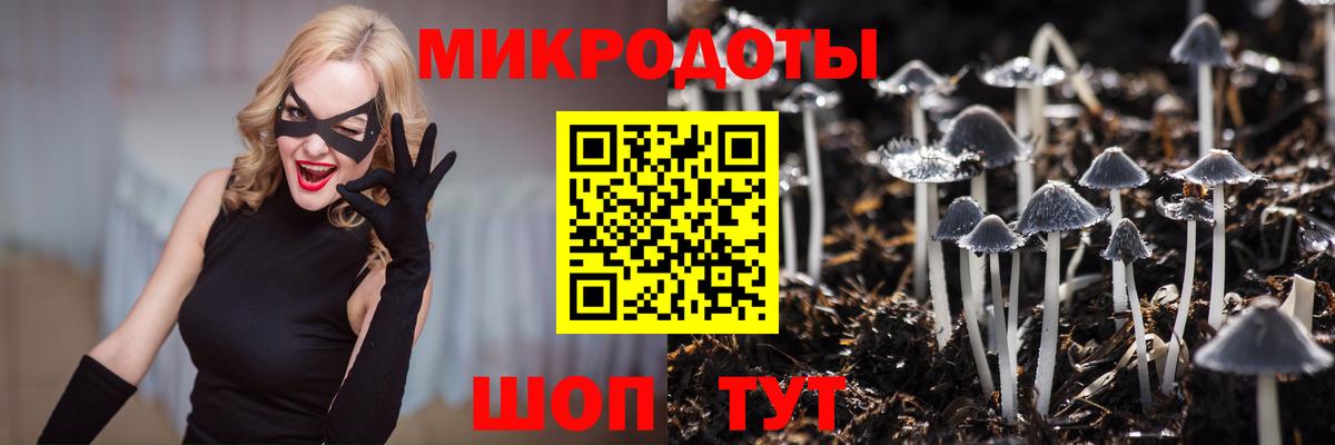 Галлюциногенные грибы ЛСД Углич