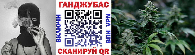 Купить где  Углич  Канабис план 