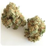 Шишки "White Widow"  (Белая вдова)  Гидропоника -  Бошка VHQ в Угличе